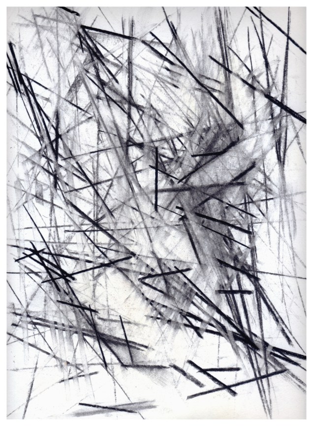 Untitled 1989 - charcoal / crayon