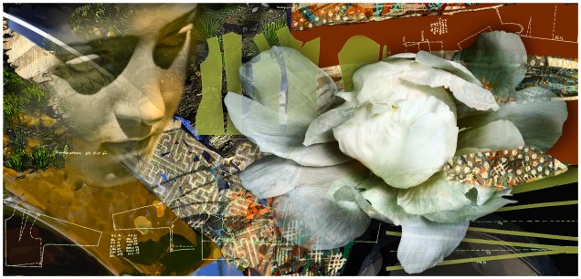 Untitled-01_14_12 SECTION original