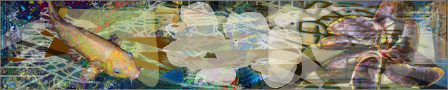 0259 Cathay_08.29.2018